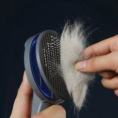 Self Cleaning Grooming Brush