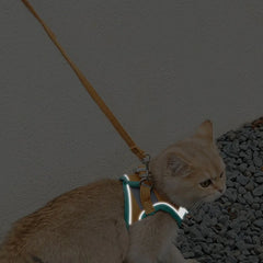 Cat Vest Harness And Leash Set