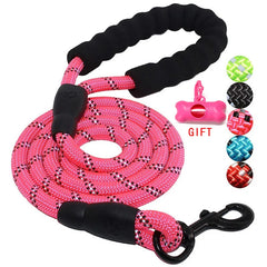 Dog Leash